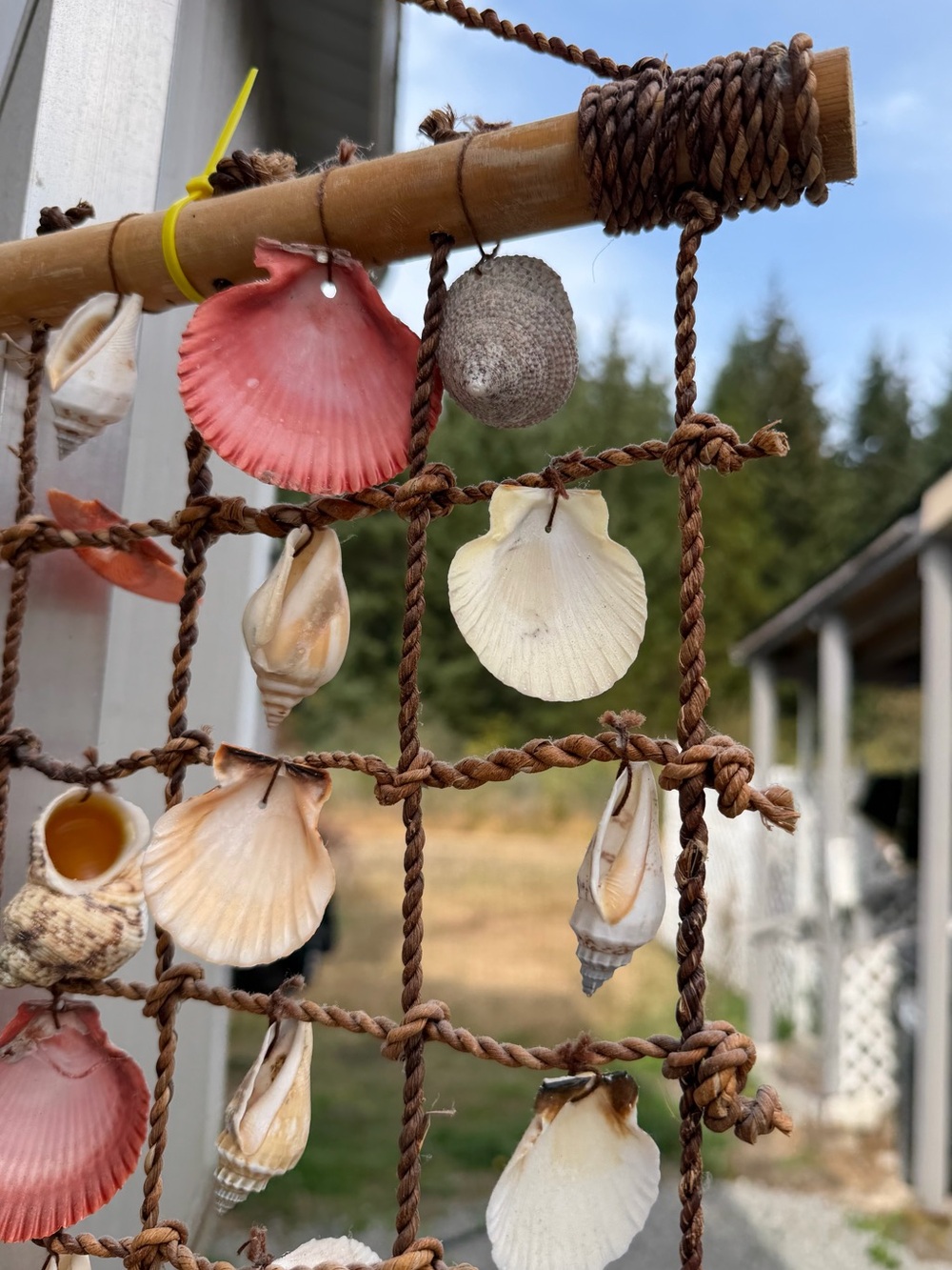 Seashell Net Wall Hanging - Picture 7 of 8